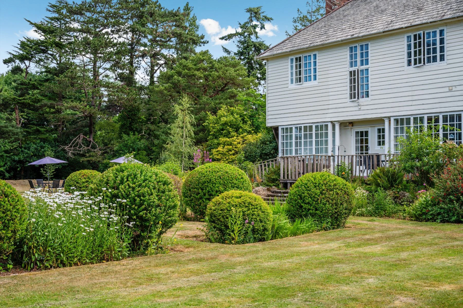 Lawns and clipped box shrubs beside the house